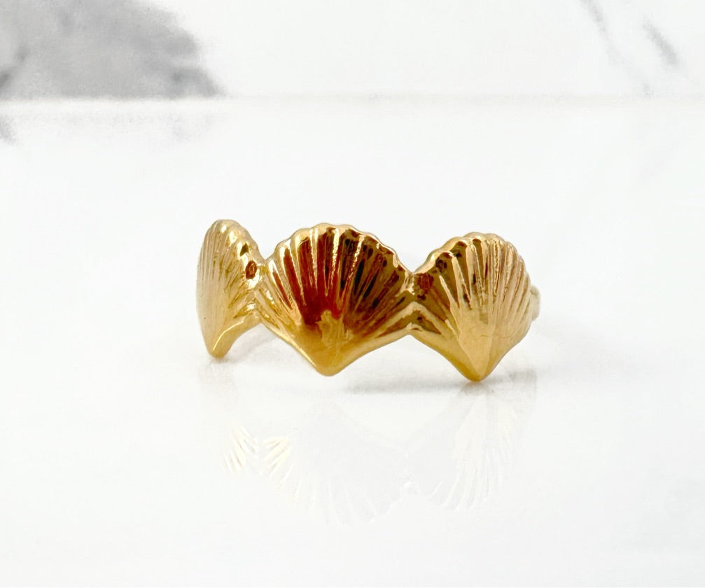 Anillo 3 Conchas