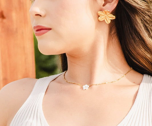 Collar Meraki