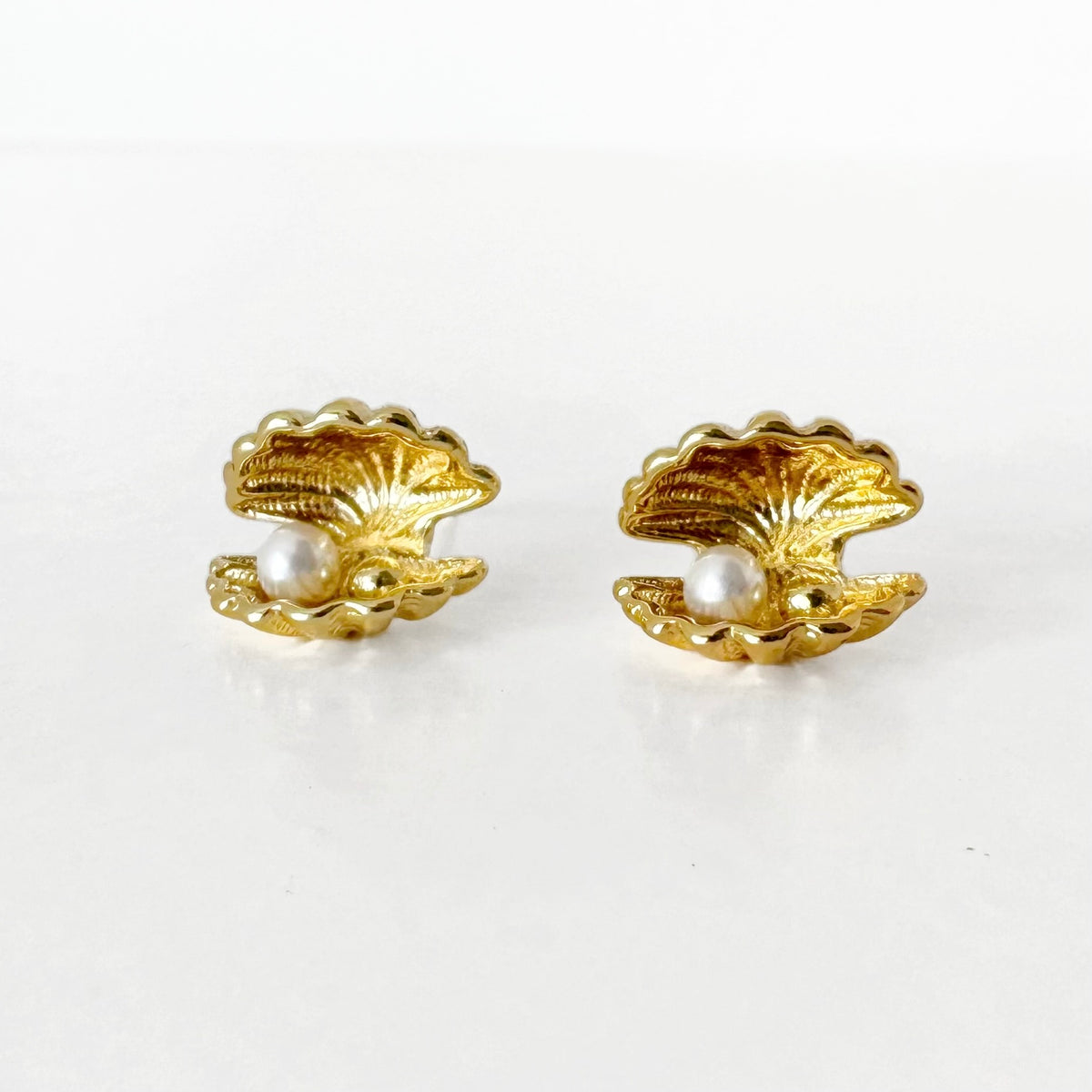 Aretes Concha de Mar