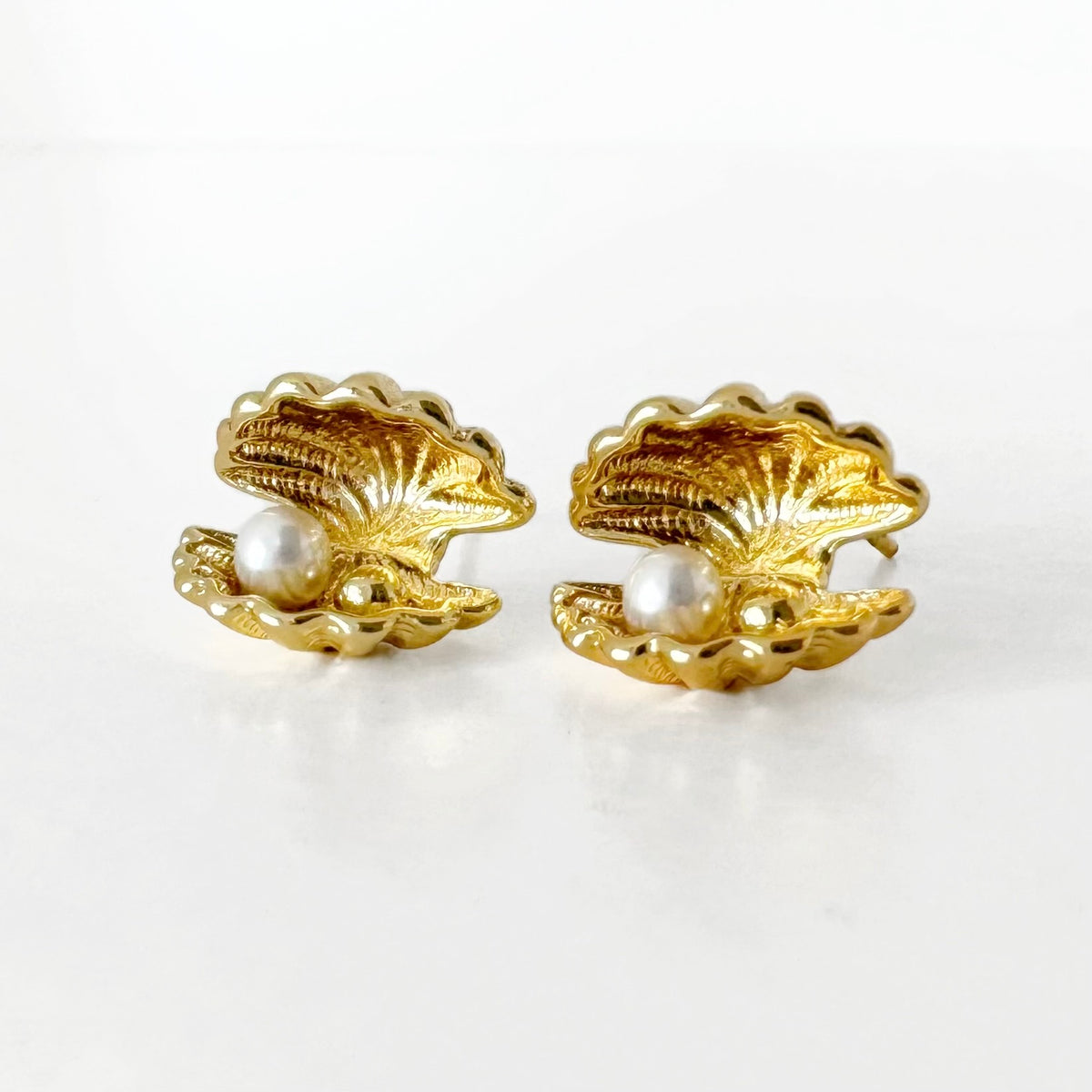 Aretes Concha de Mar