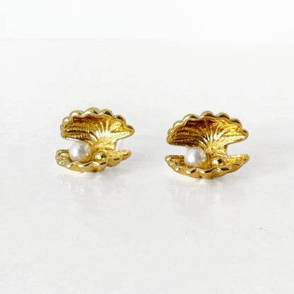 Aretes Concha de Mar