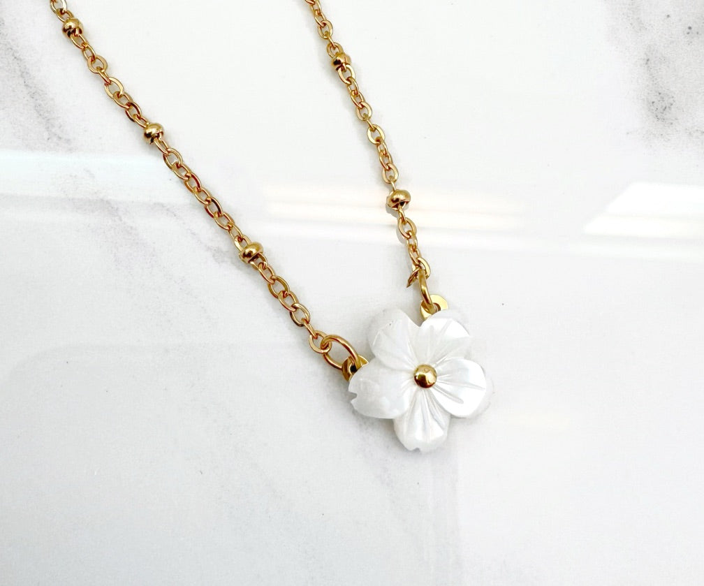 Collar Meraki