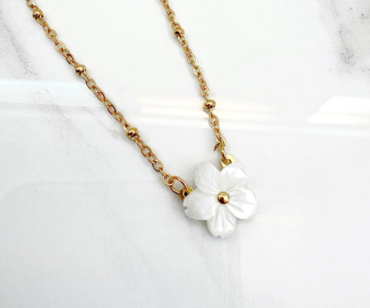 Collar Meraki