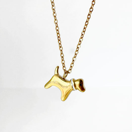 Collar Perrito