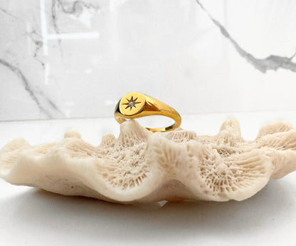 Anillo Paraíso Lunar