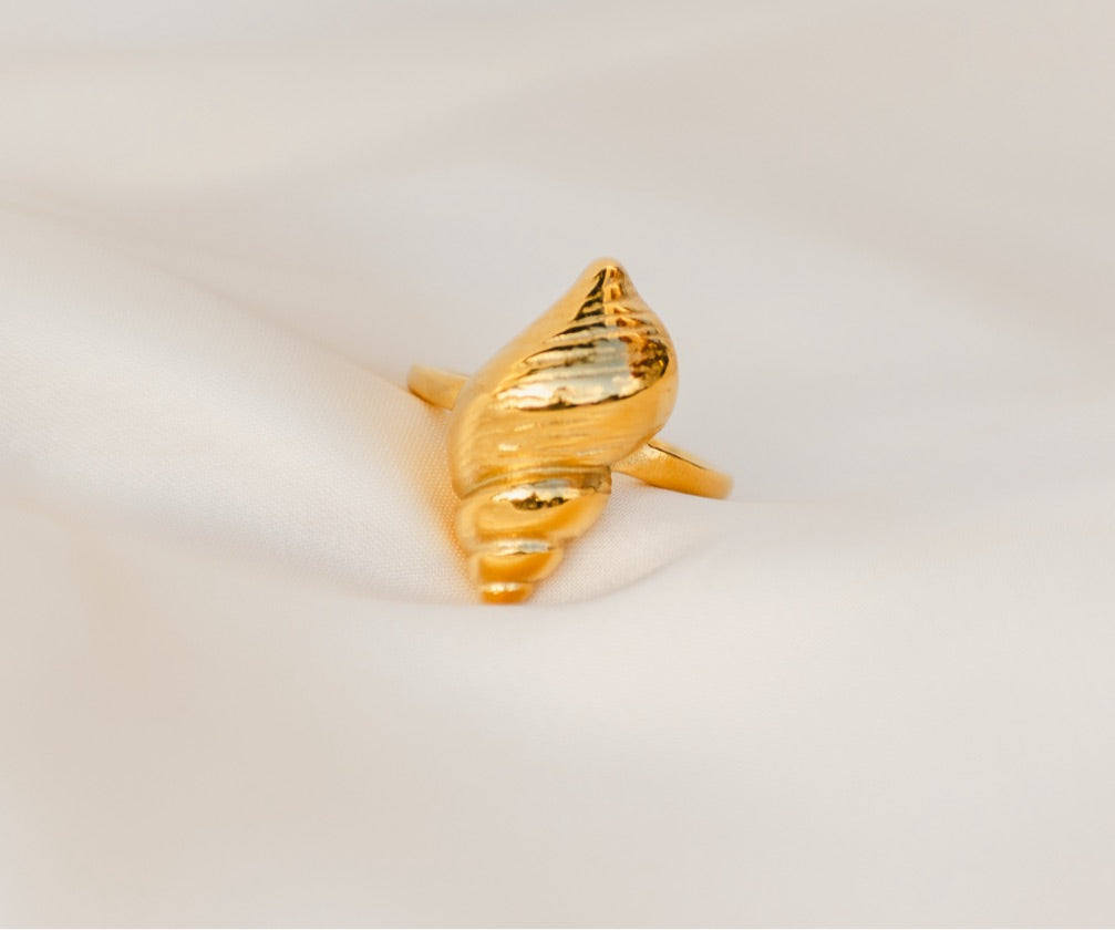 Anillo Caracol