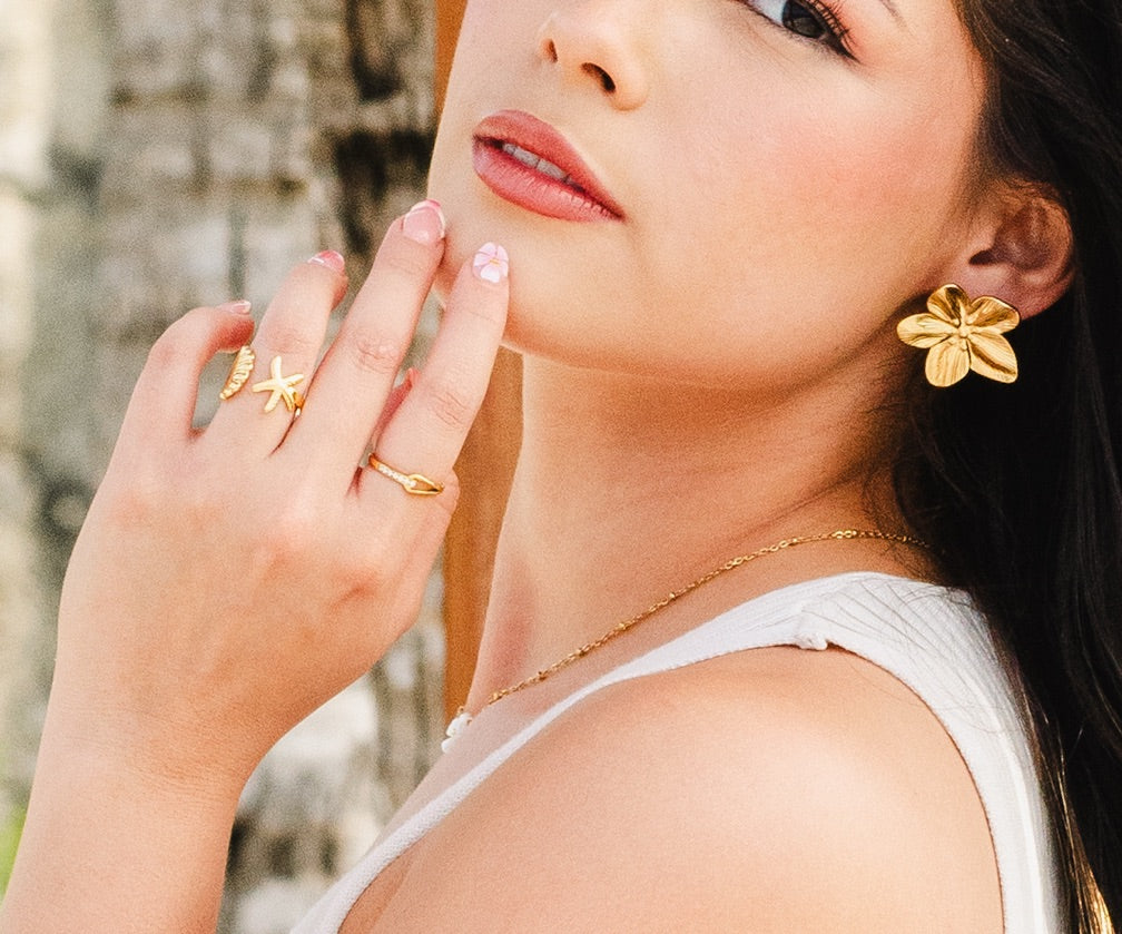 Anillo Herradura