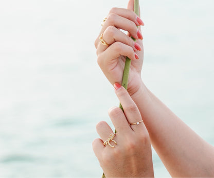 Anillo Minina