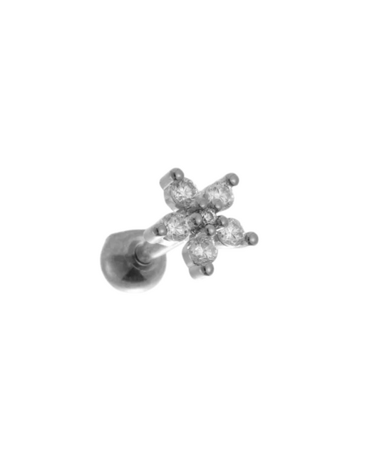 Piercing Gerbera