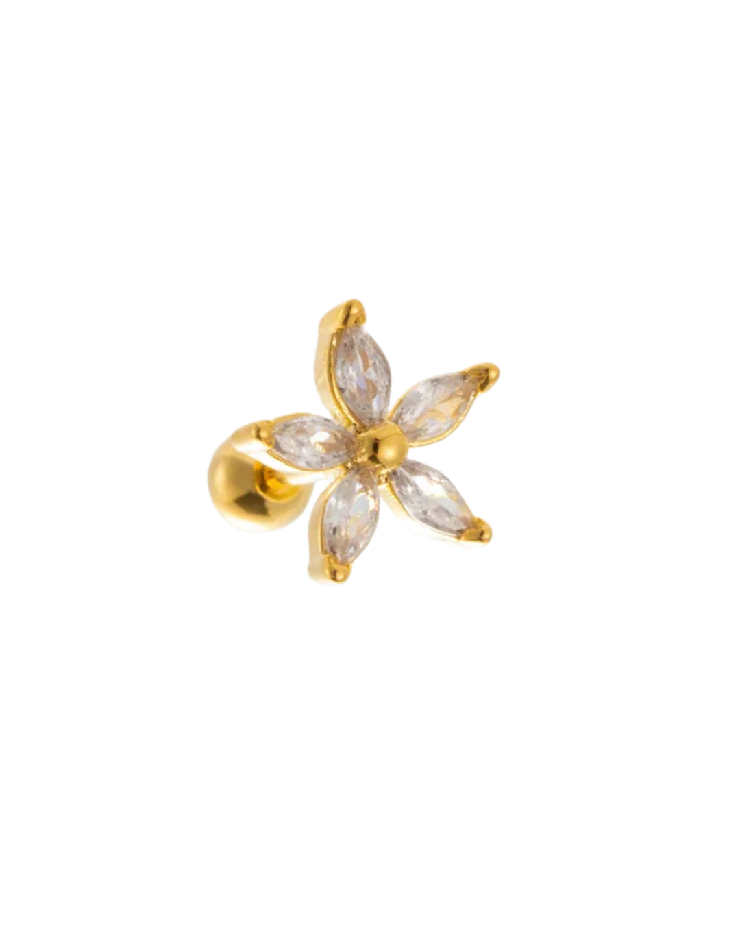 Piercing Lirio
