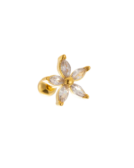 Piercing Lirio